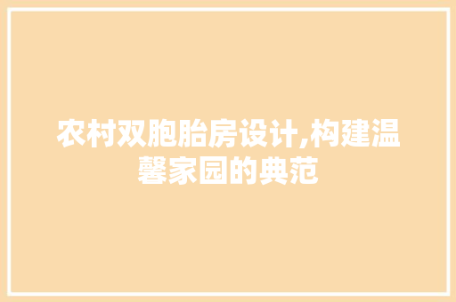 农村双胞胎房设计,构建温馨家园的典范