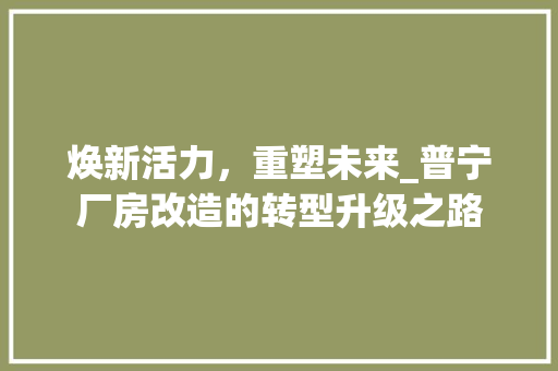 焕新活力，重塑未来_普宁厂房改造的转型升级之路