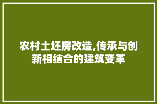 农村土坯房改造,传承与创新相结合的建筑变革
