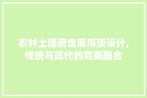 农村土墙房走廊吊顶设计,传统与现代的完美融合
