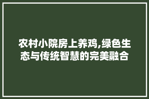 农村小院房上养鸡,绿色生态与传统智慧的完美融合