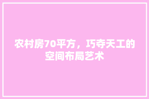 农村房70平方，巧夺天工的空间布局艺术