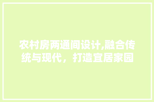 农村房两通间设计,融合传统与现代，打造宜居家园