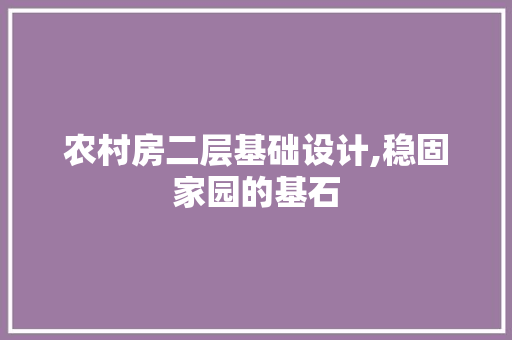 农村房二层基础设计,稳固家园的基石