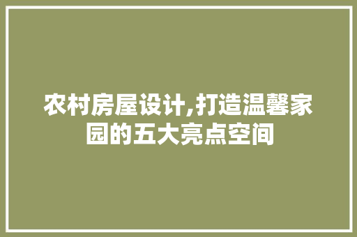 农村房屋设计,打造温馨家园的五大亮点空间