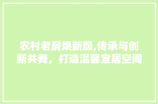 农村老房焕新颜,传承与创新共舞，打造温馨宜居空间