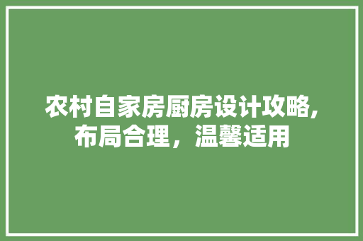 农村自家房厨房设计攻略,布局合理，温馨适用