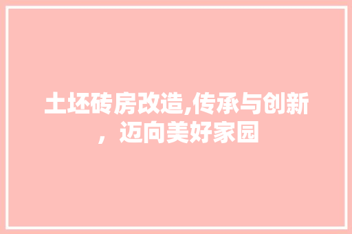 土坯砖房改造,传承与创新，迈向美好家园
