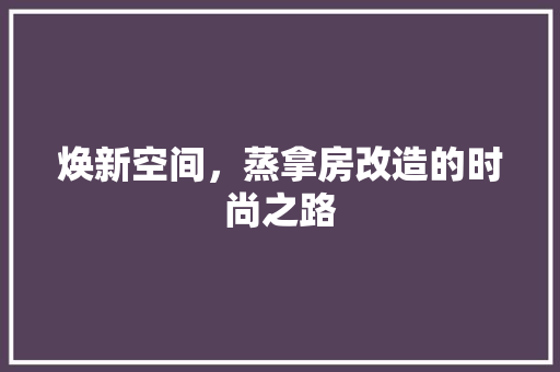 焕新空间，蒸拿房改造的时尚之路
