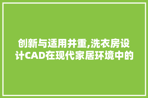 创新与适用并重,洗衣房设计CAD在现代家居环境中的应用