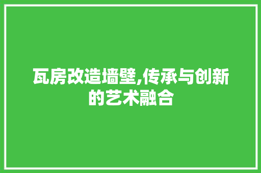 瓦房改造墙壁,传承与创新的艺术融合