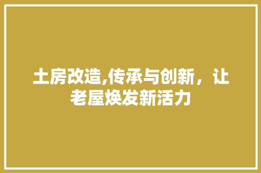 土房改造,传承与创新，让老屋焕发新活力
