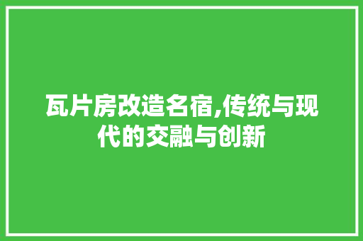 瓦片房改造名宿,传统与现代的交融与创新
