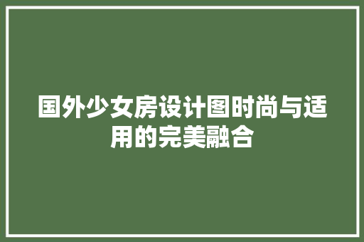 国外少女房设计图时尚与适用的完美融合