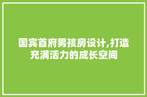 国宾首府男孩房设计,打造充满活力的成长空间