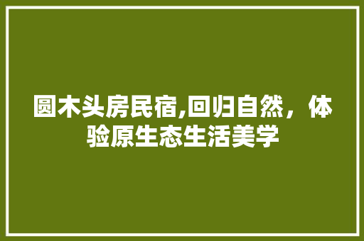 圆木头房民宿,回归自然，体验原生态生活美学