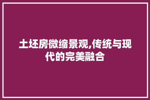 土坯房微缩景观,传统与现代的完美融合