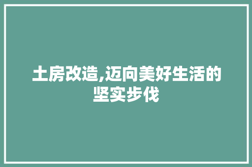 土房改造,迈向美好生活的坚实步伐