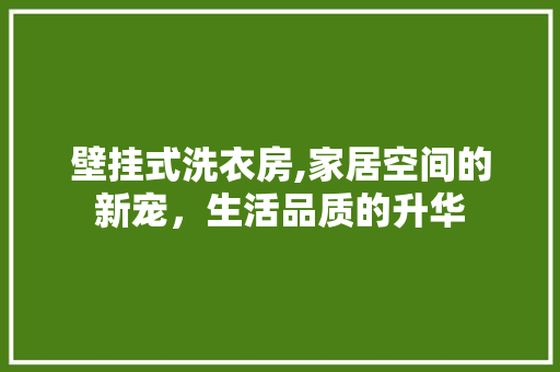 壁挂式洗衣房,家居空间的新宠，生活品质的升华