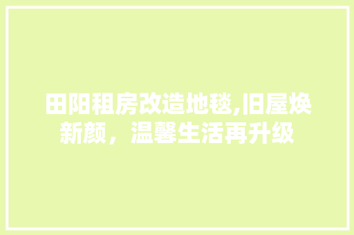 田阳租房改造地毯,旧屋焕新颜，温馨生活再升级