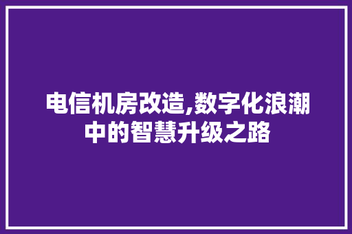 电信机房改造,数字化浪潮中的智慧升级之路