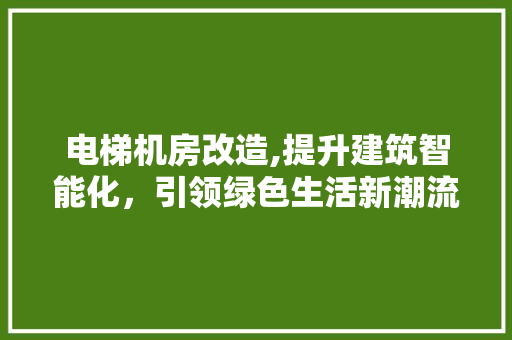电梯机房改造,提升建筑智能化，引领绿色生活新潮流