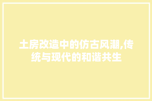 土房改造中的仿古风潮,传统与现代的和谐共生