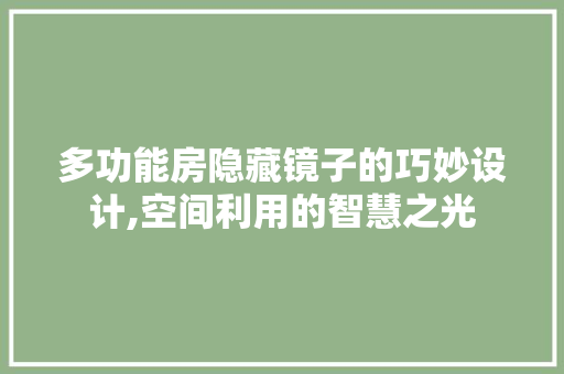 多功能房隐藏镜子的巧妙设计,空间利用的智慧之光