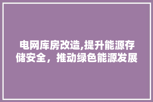 电网库房改造,提升能源存储安全，推动绿色能源发展