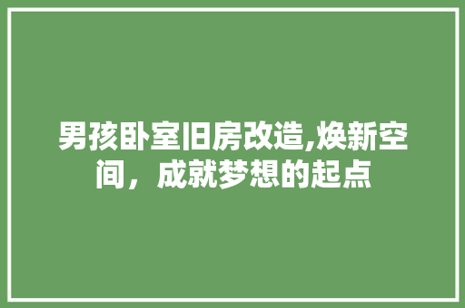 男孩卧室旧房改造,焕新空间，成就梦想的起点