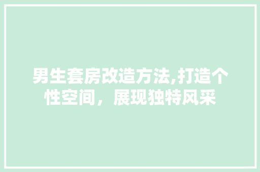 男生套房改造方法,打造个性空间，展现独特风采