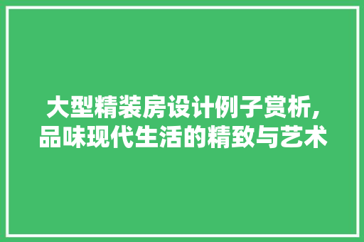 大型精装房设计例子赏析,品味现代生活的精致与艺术