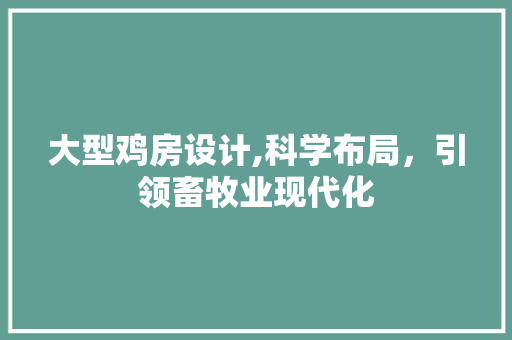 大型鸡房设计,科学布局，引领畜牧业现代化