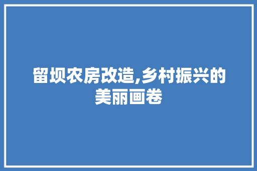 留坝农房改造,乡村振兴的美丽画卷
