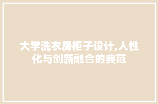 大学洗衣房柜子设计,人性化与创新融合的典范