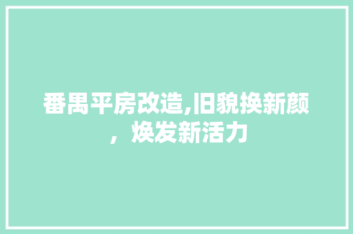 番禺平房改造,旧貌换新颜，焕发新活力