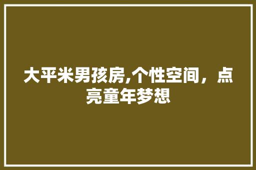 大平米男孩房,个性空间，点亮童年梦想