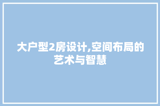 大户型2房设计,空间布局的艺术与智慧