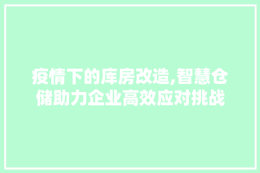 疫情下的库房改造,智慧仓储助力企业高效应对挑战
