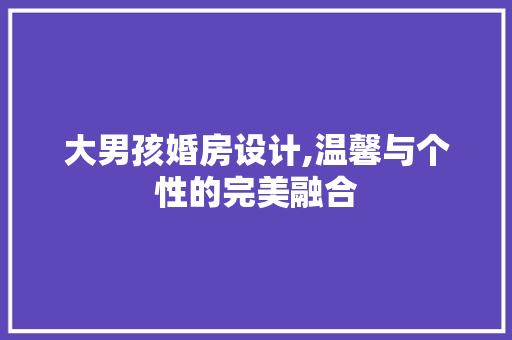 大男孩婚房设计,温馨与个性的完美融合