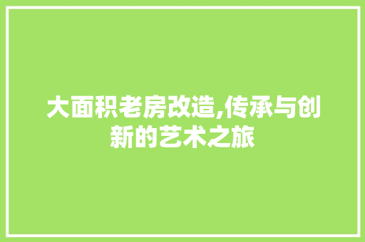大面积老房改造,传承与创新的艺术之旅