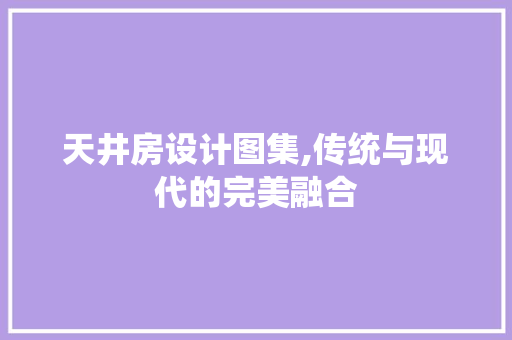 天井房设计图集,传统与现代的完美融合