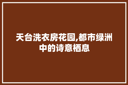 天台洗衣房花园,都市绿洲中的诗意栖息