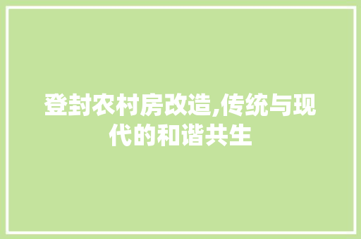 登封农村房改造,传统与现代的和谐共生