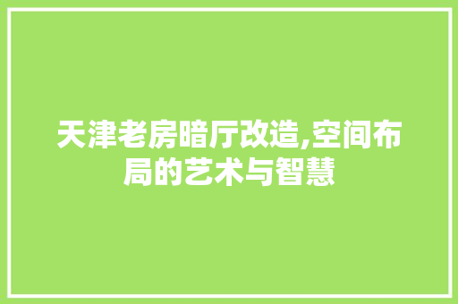 天津老房暗厅改造,空间布局的艺术与智慧