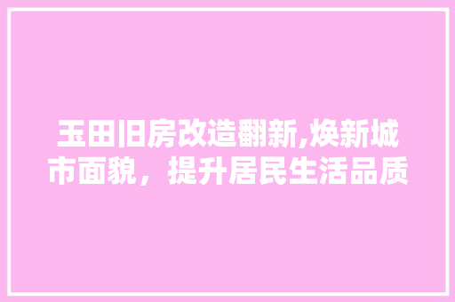 玉田旧房改造翻新,焕新城市面貌，提升居民生活品质