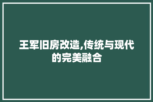 王军旧房改造,传统与现代的完美融合