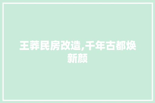 王莽民房改造,千年古都焕新颜