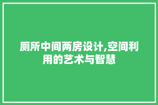 厕所中间两房设计,空间利用的艺术与智慧