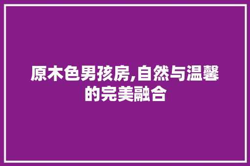 原木色男孩房,自然与温馨的完美融合
